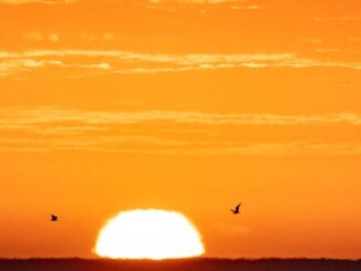 sunrise Uruguay