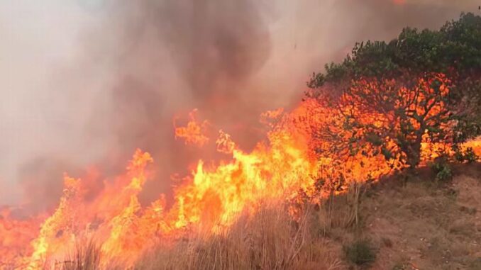 wildfire Cuba 2023