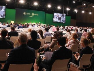 COP28 delegates Dubai