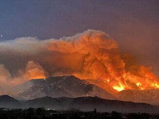 wildfire Nevada