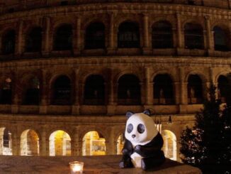 Earth Hour Coliseum dark